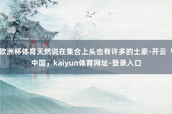 欧洲杯体育天然说在集合上头也有许多的土豪-开云「中国」kaiyun体育网址-登录入口