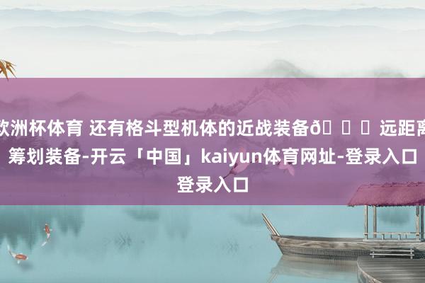 欧洲杯体育 还有格斗型机体的近战装备👇远距离筹划装备-开云「中国」kaiyun体育网址-登录入口