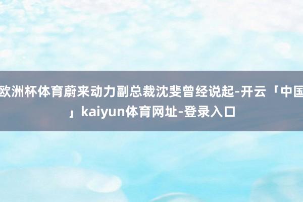 欧洲杯体育蔚来动力副总裁沈斐曾经说起-开云「中国」kaiyun体育网址-登录入口