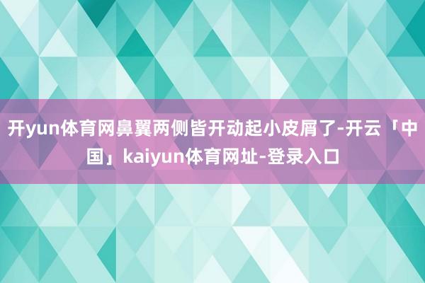 开yun体育网鼻翼两侧皆开动起小皮屑了-开云「中国」kaiyun体育网址-登录入口