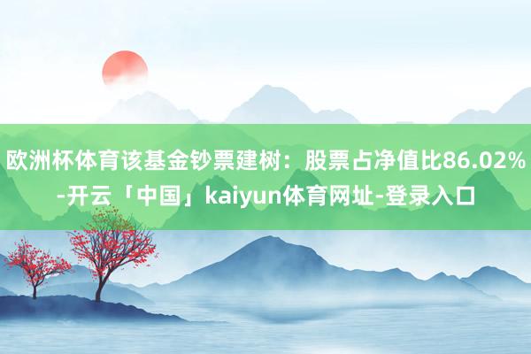 欧洲杯体育该基金钞票建树：股票占净值比86.02%-开云「中国」kaiyun体育网址-登录入口